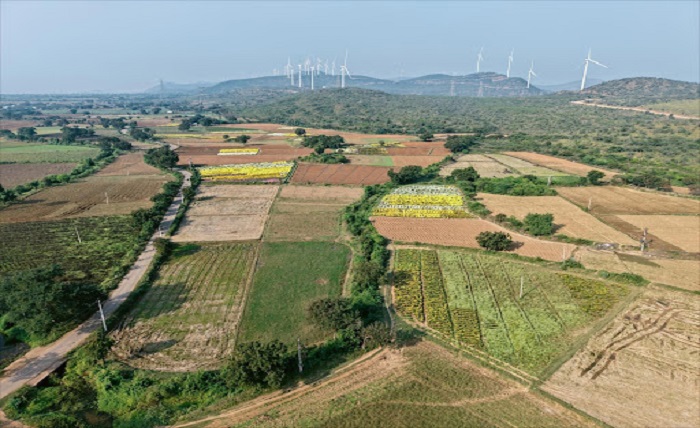 Village Land Records
