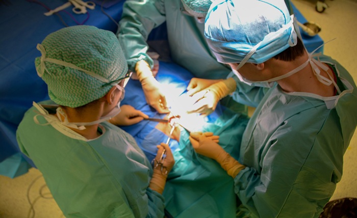Organ Disease and Transplants